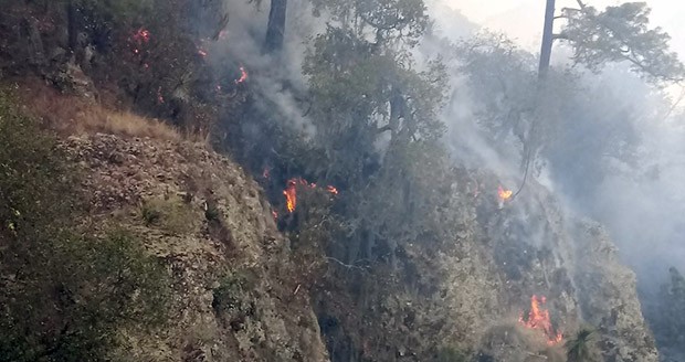 Afectan incendios forestales 51 municipios