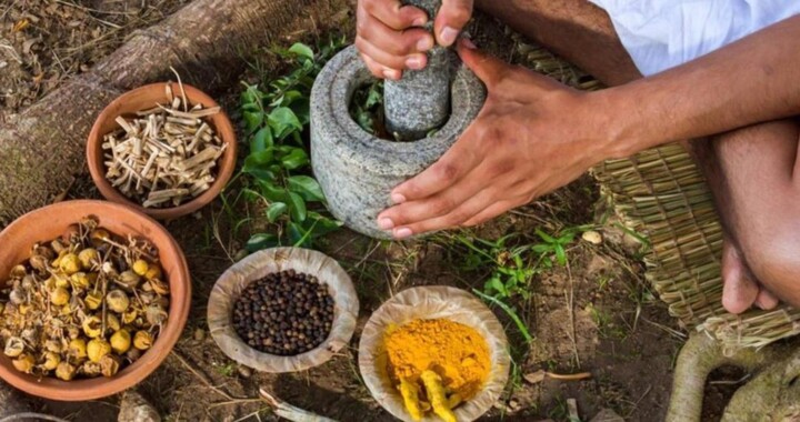 La medicina tradicional es una alternativa en comunidades indígenas: Salud