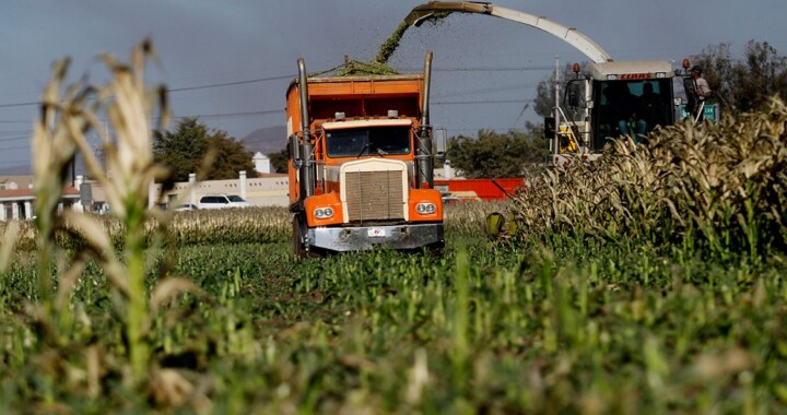 Policía Estatal de Vialidad no podrá infraccionar vehículos que transporten productos del campo