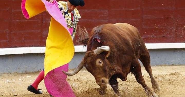 Protectores de animales piden prohibición de corridas de toros en Puebla