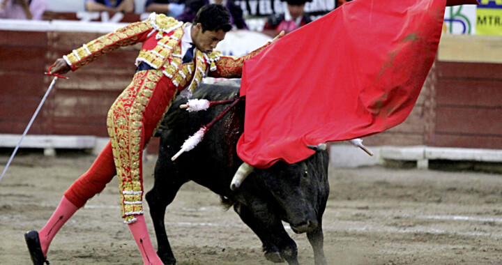 Regidores rechazan propuesta de prohibir las corridas de toros en Puebla
