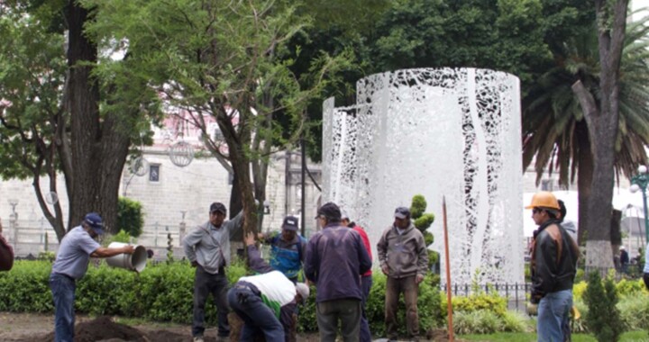 Ayuntamiento de Puebla sembrará 10 mil árboles en la ciudad