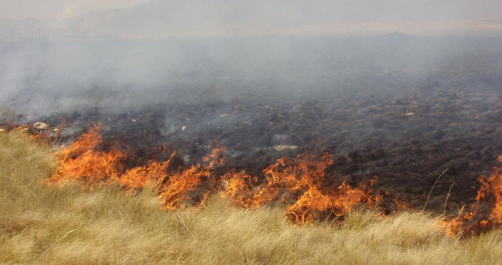 Protección Civil Municipal emite recomendaciones ante temporada de incendios