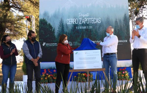 Gobierno del Estado y Volkswagen plantan 20 mil árboles en el Zapotecas