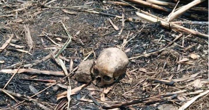 Encuentran cráneo humano en barranca de Puebla