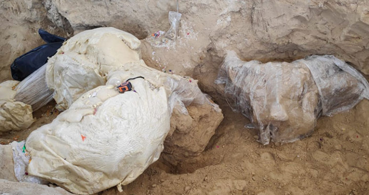 Realizan especialistas extracción de huesos de mamut en Puebla