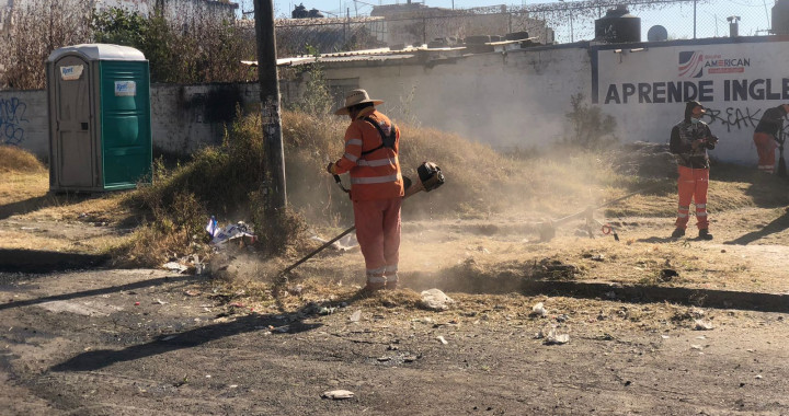 MEDIO AMBIENTE MUNICIPAL COORDINA BRIGADA DE LIMPIEZA Y MANTENIMIENTO EN LOMA BELLA