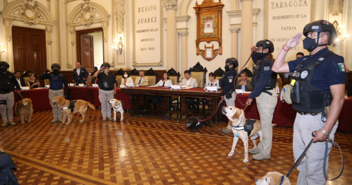 16 perros policías se jubilan con honores por servir fielmente por más de 7 años