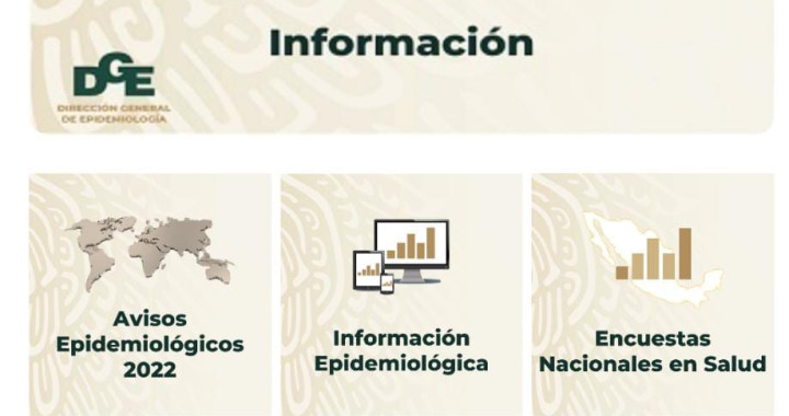 Van 6 decesos por influenza en Puebla: Salud federal