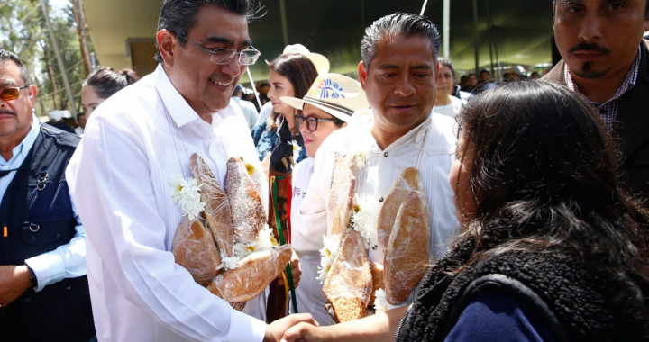 Gobierno de Puebla ejecuta programas sociales e infraestructura en lis 217 municipios: Céspedes Peregrina