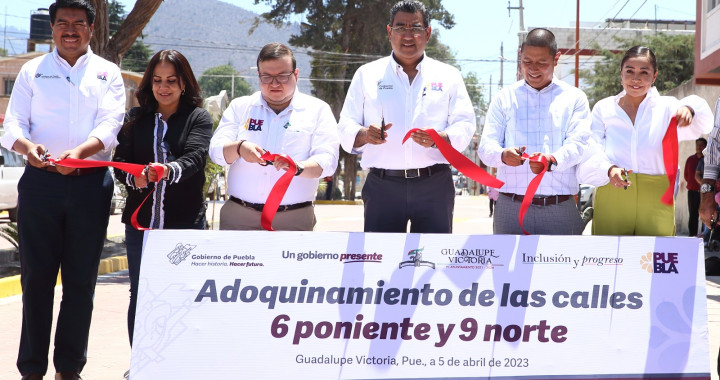 Con obras sociales, gobierno detona el desarrollo de Guadalupe Victoria: Sergio Salomón