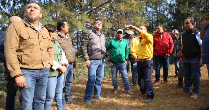 Refuerza gobierno de Puebla labores para extinguir incendio forestal en Zacatlán