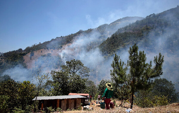Extinguido incendio forestal en Zacatlán