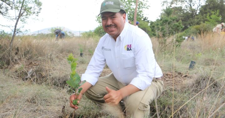 Inicia Sergio Salomón programa de reforestación en parque estatal “Flor del bosque”
