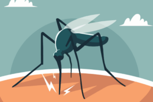 Hay ocho contagios por dengue en el Estado