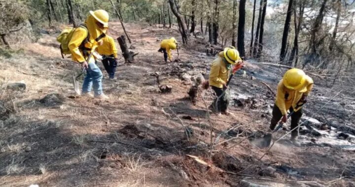 En llamas bosque de Aquixtla; vinculan a proceso a responsable