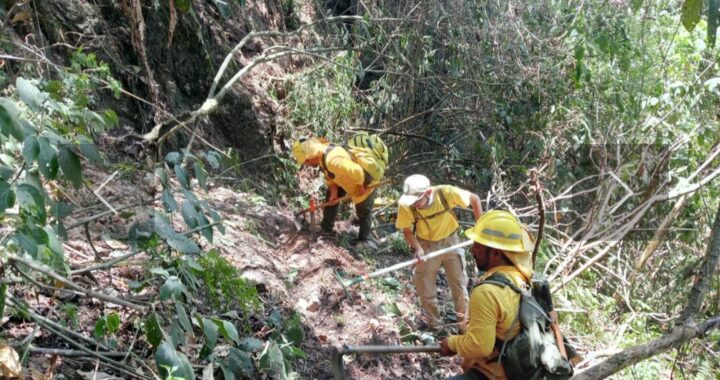 Irrumpe jornada atípica de 17 incendios en los municipios