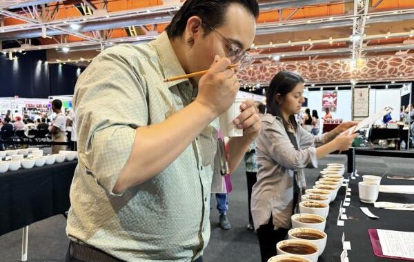 Destacan expertos la alta calidad del café poblano