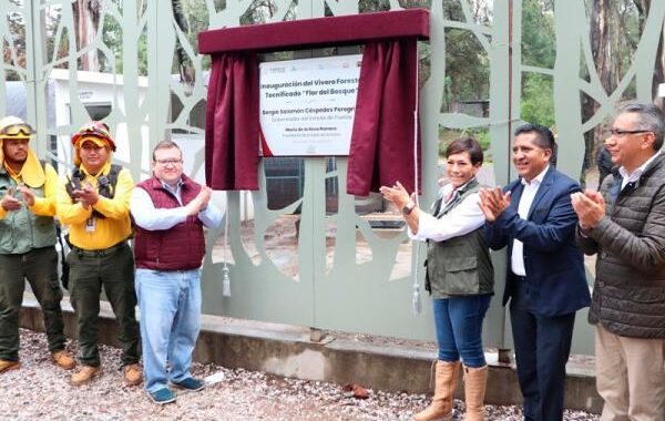 Generará vivero “Flor del Bosque” 200 mil plantas anualmente: Medio Ambiente