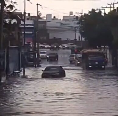Desastres en la Ciudad de Puebla por lluvias; colapsan coladeras, se caen árboles y cancelan juego de Pericos