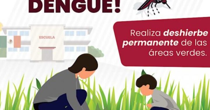 Persiste Izúcar de Matamoros con el mayor número de casos de dengue: Salud