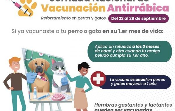 Salud anuncia reforzamiento de vacunación antirrábica para perros y gatos