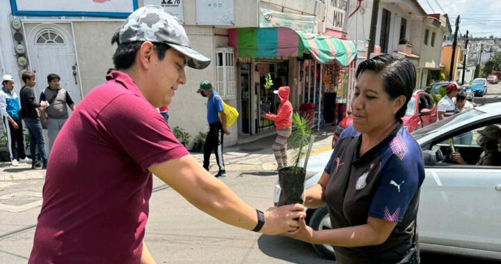 Sigue la reforestación en Puebla con “Sembremos Esperanza”