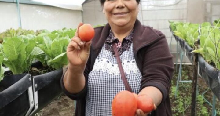 Asisten con Módulos de Autosuficiencia el Programa Alimentario