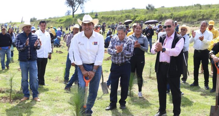 Gobierno de Salomón cumple meta del Plan de Reforestación