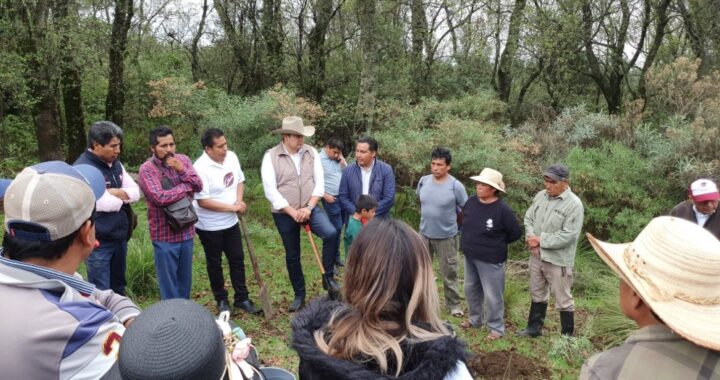 Impulsa Armenta la industrialización del Cáñamo para el crecimiento sostenible y el cuidado del planeta