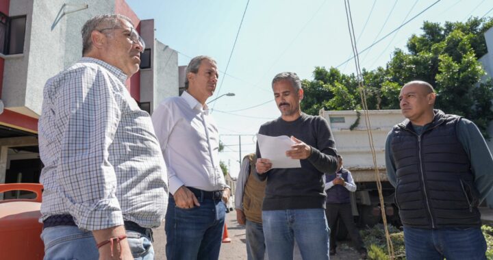 Supervisa Chedraui acciones ante caída de árbol en la Colonia Resurgimiento