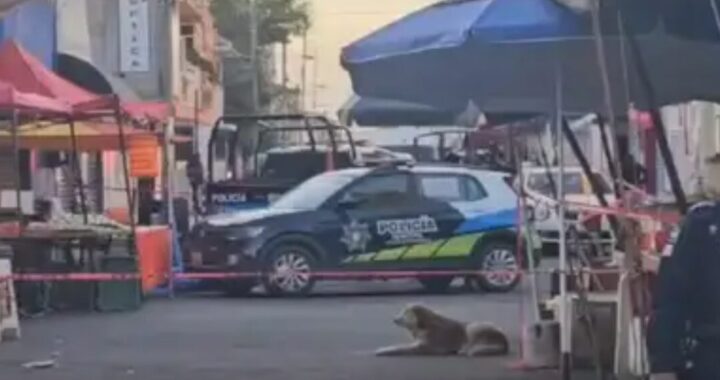 Balazos y sangre en tianguis de Loma Bella