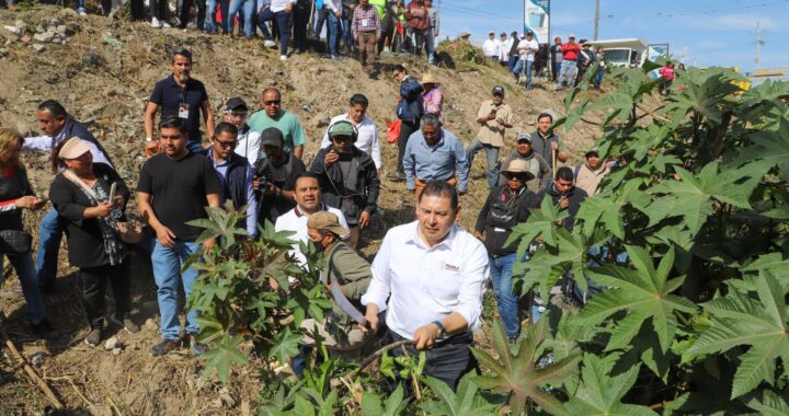 Rescatamos con quinta faena comunitaria valores y principios del humanismo: Armenta