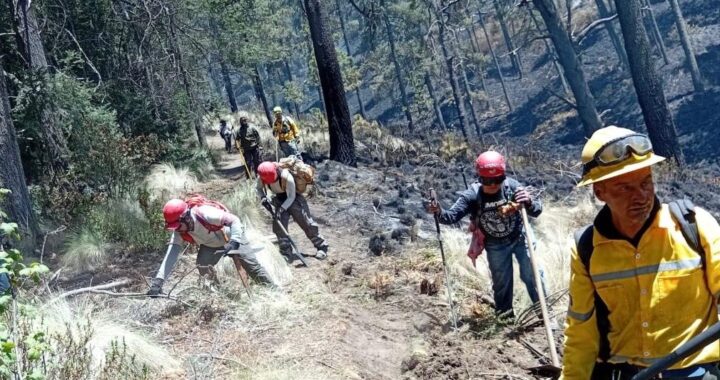 Con una efectividad del 100 por ciento, Gobierno de Puebla atiende incendios